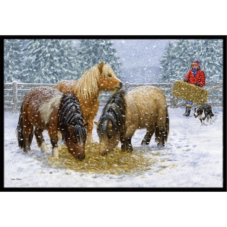 Carolines Treasures Shetland Ponies Indoor or Outdoor Mat- 18 x 27 ASA2206MAT